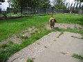 Afb_20160711 (26)
